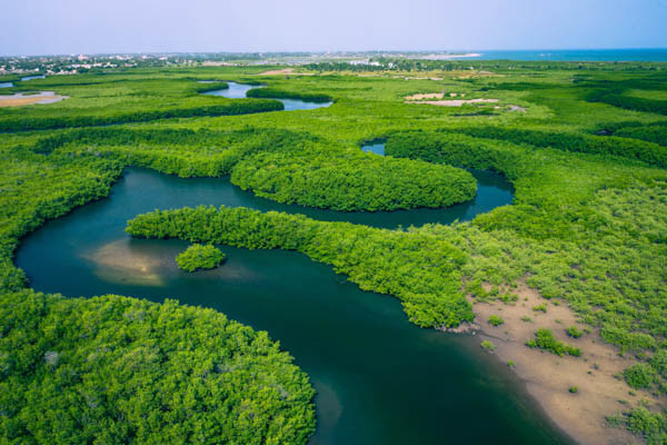 Casamance